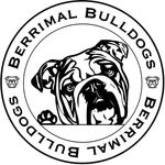 Berrimal Bulldog Logo